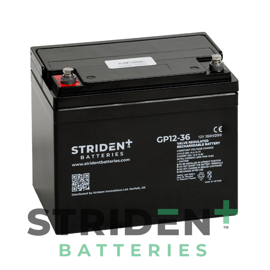 Strident 12V 36A Batteries (Pair)